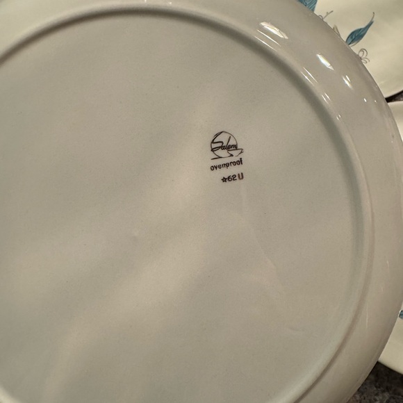 Vintage Salem China Company dinnerware in the "Biscayne" pattern - Picture 5 of 16